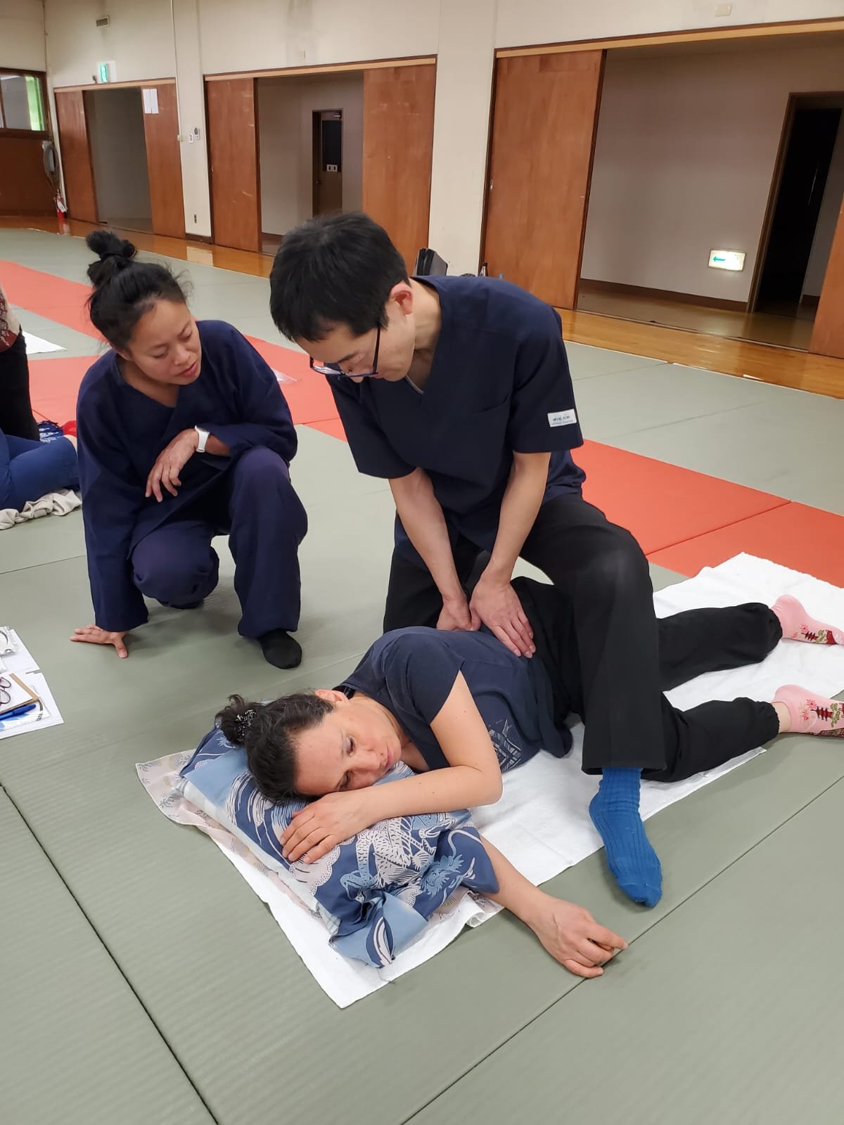 Qu’entend- t-on par Seitai et qu’est-ce que l’approche Seitai Hirano? 